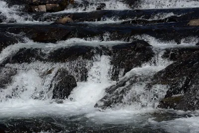 DSC_3587 (Large).JPG